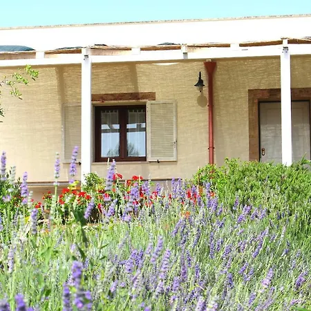 Planifolia Gospodarstwo wiejskie